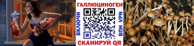 наркота  Саянск  Галлюциногенные грибы мицелий 